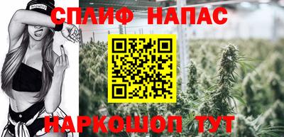 СК Бузулук