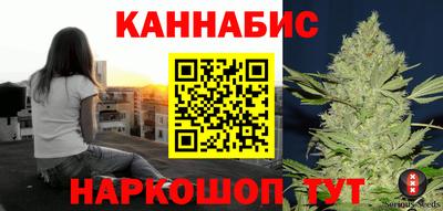шишки Будённовск
