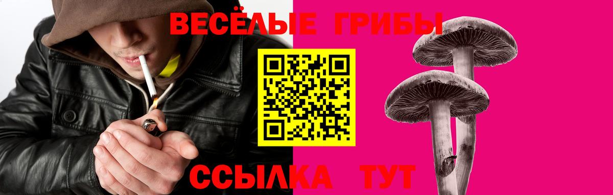 Псилоцибиновые грибы Cubensis  Вход с VPN  Королёв  Псилоцибиновые грибы мухоморы 